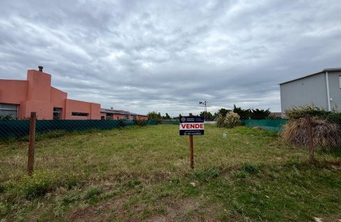 WhatsApp Image 2026-03-15 at 17.57.04 (1)