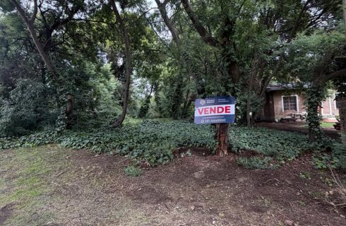 WhatsApp Image 2026-03-25 at 11.47.05